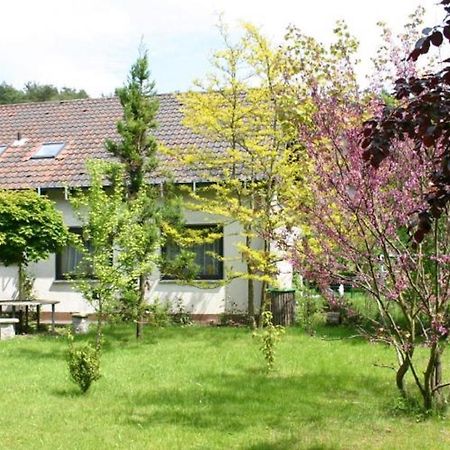 Pension Haus Zum Schlehenberg バイロイト エクステリア 写真